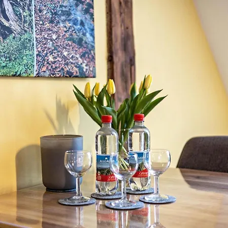 Gipfelstuermer Mit Koenigscard Apartamento Nesselwang